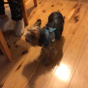 Meet your Posher, Sharon